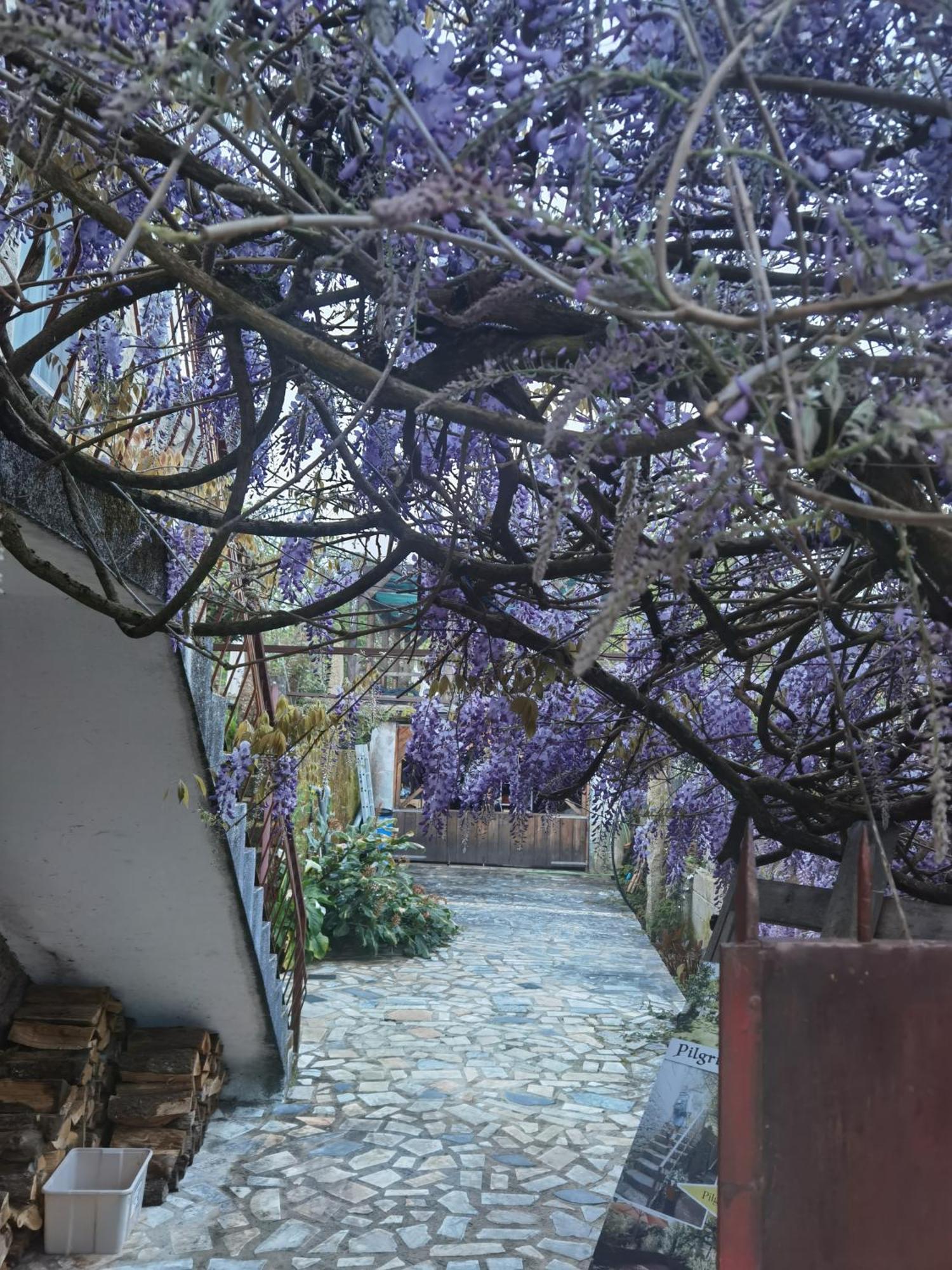Pilgrims Rest - Vila Nova De Cerveira - Hostel - Albergue - Al Exterior photo